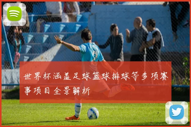 世界杯涵盖足球篮球排球等多项赛事项目全景解析