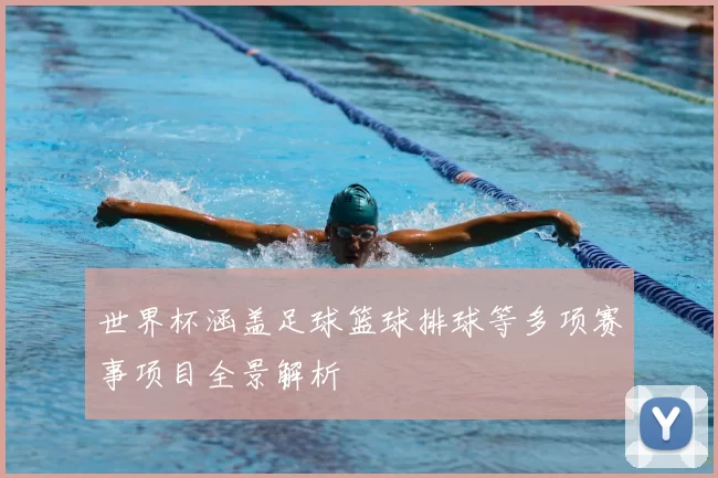世界杯涵盖足球篮球排球等多项赛事项目全景解析