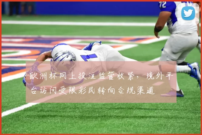 欧洲杯网上投注监管收紧,境外平台访问受限彩民转向合规渠道