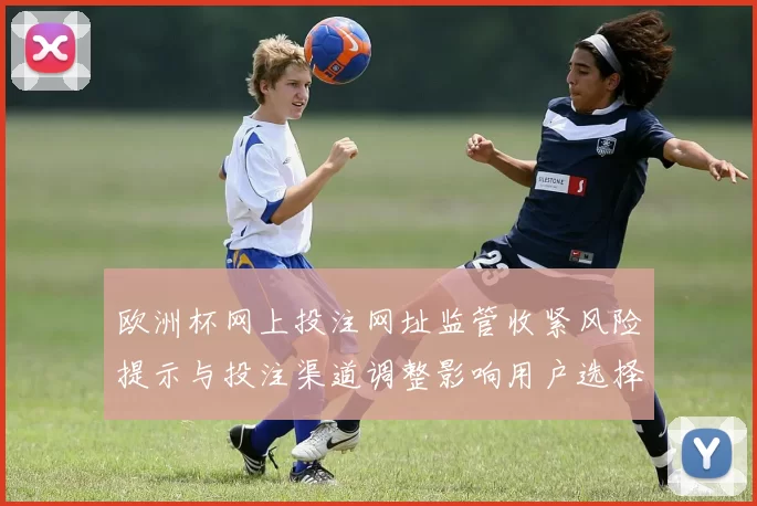 欧洲杯网上投注网址监管收紧风险提示与投注渠道调整影响用户选择